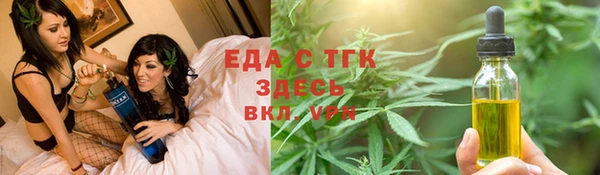 ECSTASY Богданович